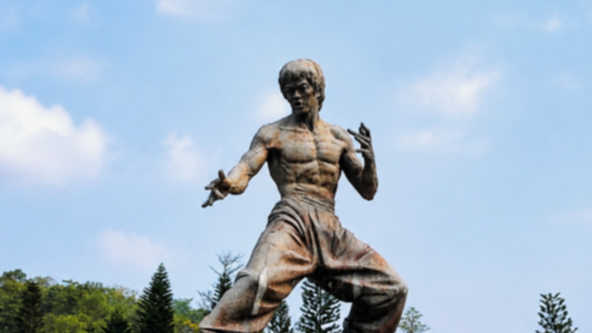 Martial Arts Culture